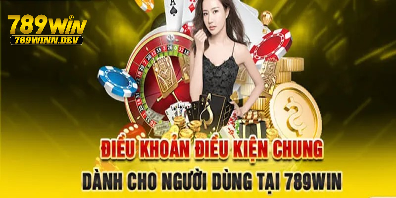 Điều khoản điều kiện 789WIN và thông tin giới thiệu 