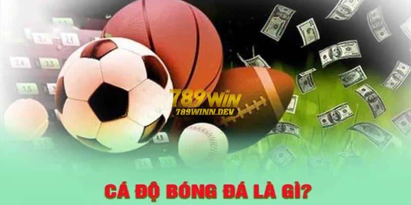 Vài nét về cá độ bóng đá 789WIN